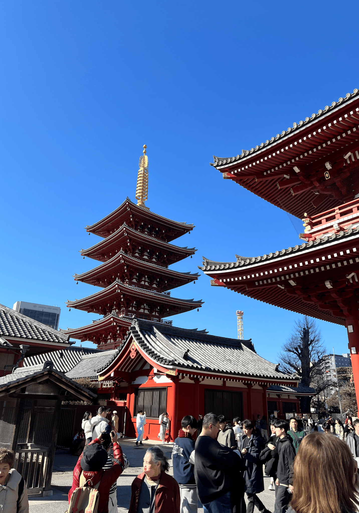 Shrine